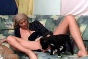 Black pet wants to lick the pussy of a hot zoophile
