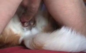 Doggy tight hole brutally fucked from behind