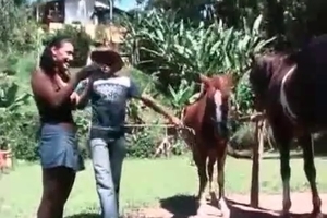 Stallion is fucked by a lad with an appetite for horse sex