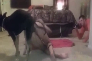 Girl from the South is totally dominated by a horny doggie