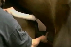 Horny voyeurs are watching an intense horse fucking action