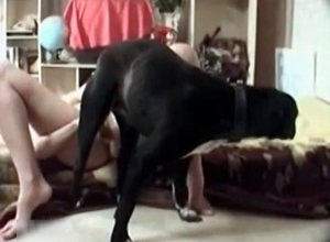 The pussy of a slut is totally gaped by a hound